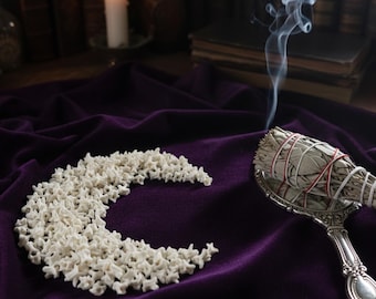 Véritables os de vertèbres de serpent - Taxidermie éthique | Curiosités de la culture des vautours | Fourniture de bijoux en os de décoration gothique