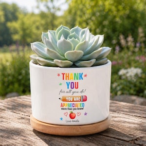 Può includere: Un vaso in ceramica bianca con base in legno contenente una pianta succulenta verde. Il vaso presenta un testo colorato che recita: THANK YOU for all you do! YOU ARE APPRECIATED more than you know! con un disegno di una matita, una mela rossa e Love Amalia.