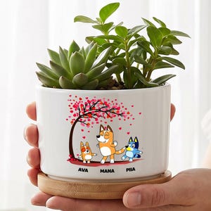 May include: A white ceramic cylindrical planter with a bamboo saucer base, containing two green succulent plants. The planter features a colorful graphic of three cartoon dogs under a pink tree, with the names AVA, MANA, and PIIA printed below.