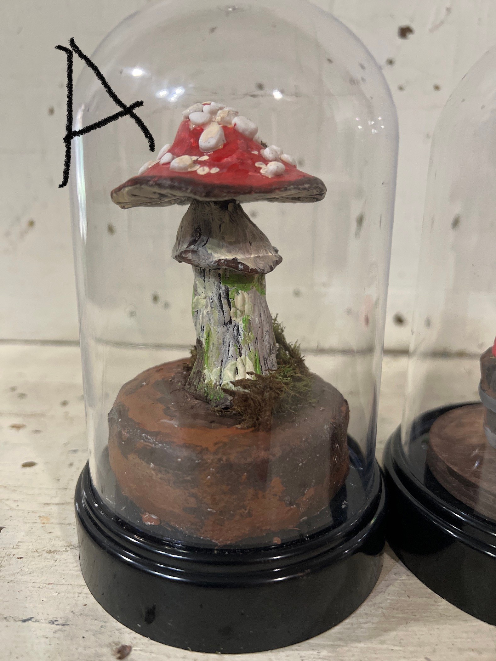 Mushroom Cloche Display Mushroom Woodland Diorama Etsy