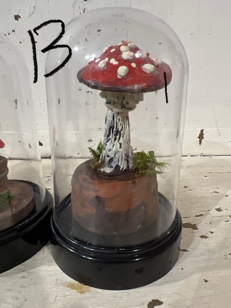Mushroom Cloche Display Mushroom Woodland Diorama Etsy