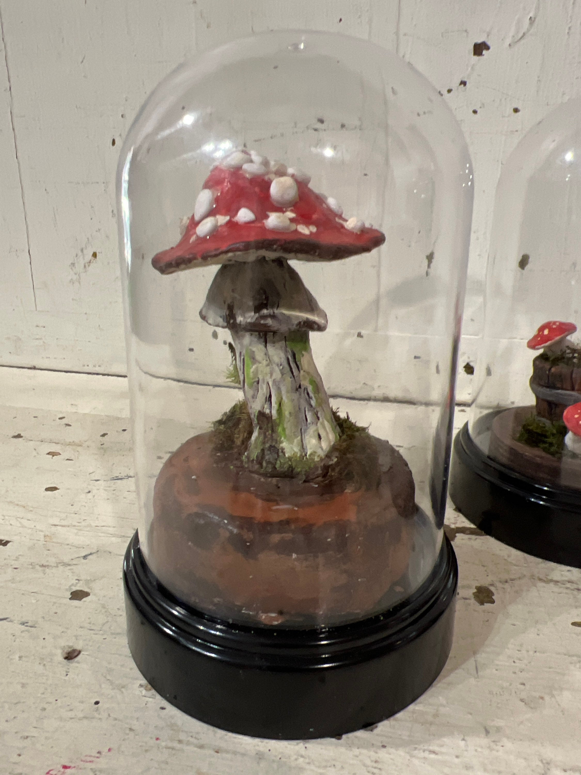 Mushroom Cloche Display Mushroom Woodland Diorama Etsy