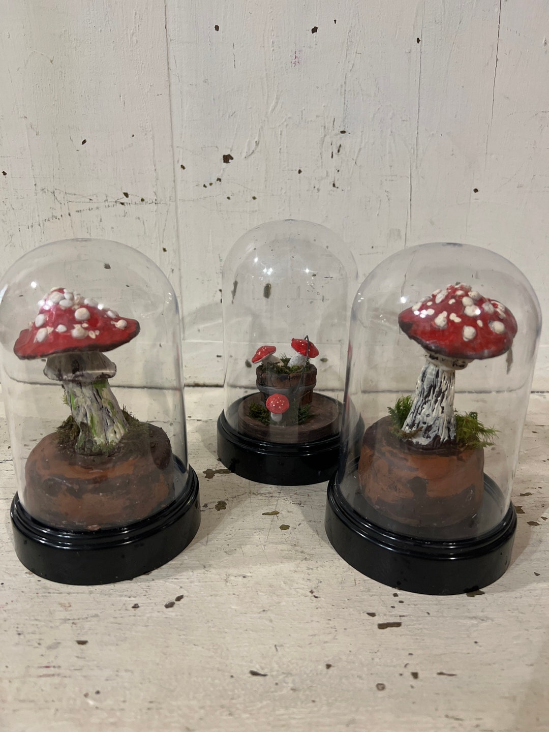 Mushroom Cloche Display Mushroom Woodland Diorama Etsy