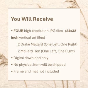 Pode incluir: Uma listagem de download digital com o texto: You Will Receive, FOUR high-resolution JPG files (24x32 inch vertical art files), 2 Drake Mallard (One Left, One Right), 2 Mallard Hen (One Left, One Right), Digital download only.