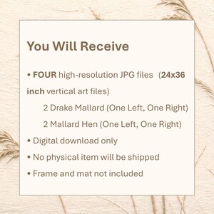 Pode incluir: Um cart&atilde;o de informa&ccedil;&otilde;es de produto digital com texto castanho num fundo claro. Indica: You Will Receive, FOUR high-resolution JPG files (61x91 cm vertical art files), 2 Drake Mallard (One Left, One Right), 2 Mallard Hen (One Left, One Right).