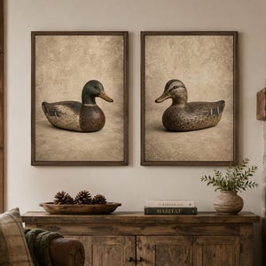 Pode incluir: Duas impress&otilde;es de arte de parede retangulares emolduradas com ilustra&ccedil;&otilde;es detalhadas de chamarizes de pato. A impress&atilde;o da esquerda mostra um pato-real com cabe&ccedil;a verde, enquanto a da direita mostra um pato castanho malhado sobre fundo neutro.