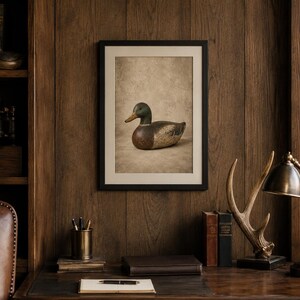 Pode incluir: Uma impress&atilde;o de arte emoldurada apresentando um chamariz de pato-real com cabe&ccedil;a verde, peito castanho e corpo cinzento. A obra de arte &eacute; exibida numa moldura preta simples contra uma parede de pain&eacute;is de madeira escura num escrit&oacute;rio.
