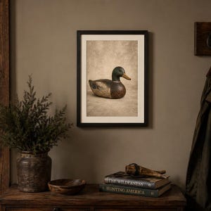 Pode incluir: Uma impress&atilde;o art&iacute;stica emoldurada apresentando um chamariz de pato-real com cabe&ccedil;a verde, peito castanho e corpo cinzento, sobre um fundo texturizado neutro. A obra est&aacute; inserida numa moldura preta simples com uma margem branca.