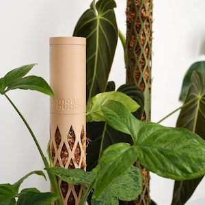 Puede incluir: Soporte para plantas beige con el texto "moss buddy", con una jaula en forma de diamante llena de musgo marrón. El soporte está rodeado de plantas verdes con hojas grandes. Forma cilíndrica.