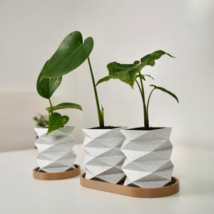Könnte beinhalten: Drei geometrische, weiße Pflanzgefäße mit Pflanzen, jeweils auf einer braunen Ablage. Die Pflanzgefäße haben ein strukturiertes, facettiertes Design. Die Pflanzen haben große, grüne Blätter. Der Hintergrund ist schlicht weiß.