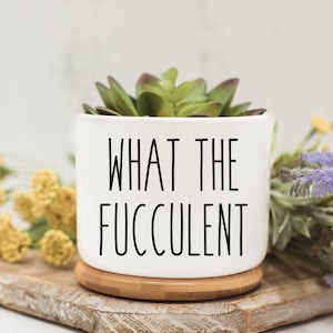 May include: White ceramic succulent planter with the text "WHAT THE FUCCULENT" in black lettering. The planter is filled with a green succulent plant and is sitting on a wooden surface.