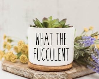 What the Fucculent, Succulent Pots, Succulent Planter with Drainage, Funny Planter, Mini Succulent Planter, Funny Succulent Pot
