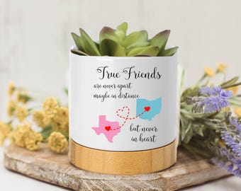 Long Distance, Best Friends Succulent Pots, Succulent Planter with Drainage, Succulent Planter, Succulent Pot, BFF Gift, Friendship Gift