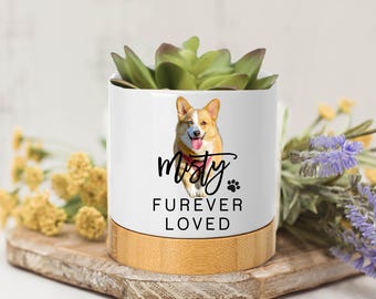 Personalized Dog Memorial Gift, Succulent Pots, Succulent Planter with Drainage, Mini Succulent Planter, Dog Memorial, Loss Of Pet Gift