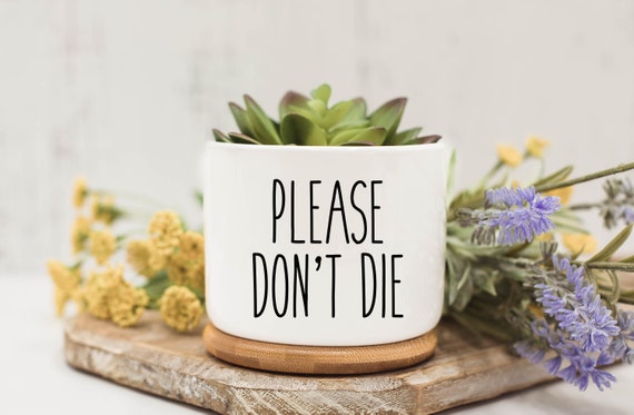 Please Don't Die, Succulent Pots, Succulent Planter With Drainage, Funny  Planter, Mini Succulent Planter, Funny Succulent Pot - Etsy