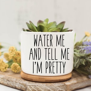 May include: White ceramic planter with a succulent plant and the text "WATER ME AND TELL ME I'M PRETTY".