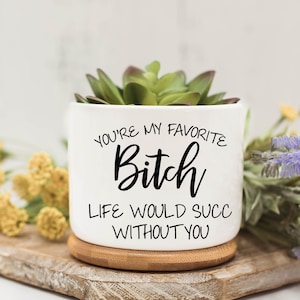 My Favorite Bitch, Succulent Pots, Succulent Planter with Drainage, Funny Planter, Mini Succulent Planter, Funny Succulent Pot