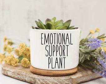 Emotional Support Plant, Succulent Pots, Succulent Planter with Drainage, Funny Planter, Mini Succulent Planter, Funny Succulent Pot