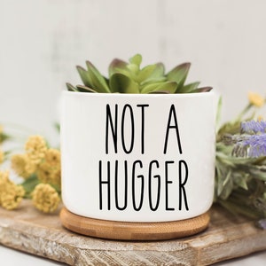 May include: White ceramic planter with a succulent plant and the text "NOT A HUGGER" in black lettering. The planter is sitting on a wooden surface.