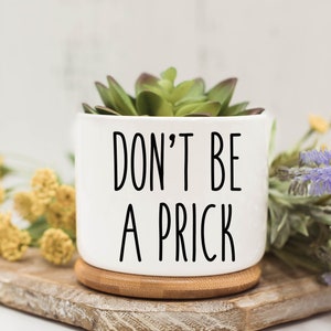 May include: White ceramic planter with a succulent plant and the text "DON'T BE A PRICK" in black lettering. The planter is sitting on a wooden surface.