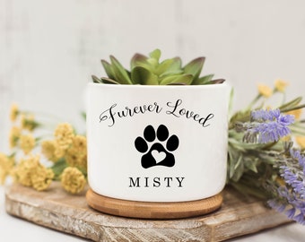 May include: A white ceramic planter with the words "Forever Loved" and a paw print with a heart. The name "Misty" is below the paw print. The planter holds a small succulent plant and sits on a wooden coaster.