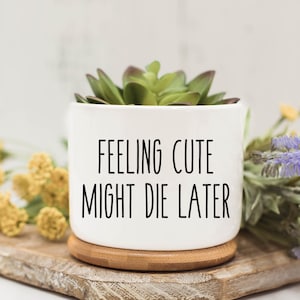 May include: White ceramic planter with a succulent plant and the text "Feeling Cute Might Die Later".