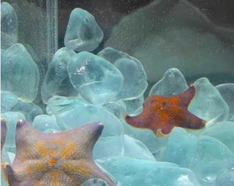 Decoración de acuario de cianita azul / Piedra de paisaje acuático para paisajismo de peceras y arena de sustrato