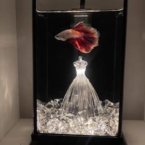 Puede incluir: Un acuario decorativo con un pez betta de aletas rojas y blancas. El tanque incluye una escultura de vestido brillante similar al cristal y piedras claras facetadas, todo dentro de un marco negro.