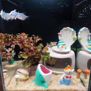 May include: An aquarium scene with several decorative elements. Includes a shark-shaped ornament, a mermaid cat figurine, and a seashell-shaped structure. Live fish swim near the top. The tank has a sandy bottom and artificial plants.