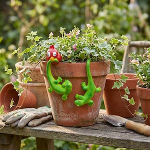 May include: A terracotta flower pot with green plants and small pink flowers. Two green lizard-shaped pot hangers and a red bird pot hanger decorate the pot. The pot sits on a wooden surface with gardening gloves and tools.