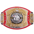 John Cena Farewell 2025 Spinner Championship Belt Replica – Washington Gold Wrestling Title product logo