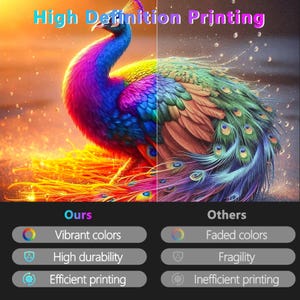 May include: A vibrant image showcasing a colorful peacock with text that reads "High Definition Printing." The image compares "Ours" with "Others," highlighting vibrant colors, high durability, and efficient printing versus faded colors, fragility, and inefficient printing.