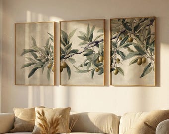 Olive Branch Wall Art Set of 3, Mediterranean Botanical Prints, living room Printable Decor