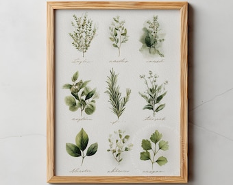 Botanical Herbs Print, Kitchen Wall Art, Printable Greenery Collection, Natural Cottagecore Decor Home