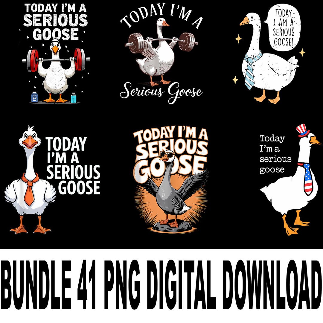 Today I'm A Serious Goose PNG Funny Meme - Etsy