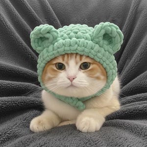 Op de afbeelding: Een kat met oranje en witte vacht draagt een lichtgroene, handgebreide muts met berenoren en een bijpassende sjaal. De kat ligt op een grijze deken. De muts en sjaal zijn gemaakt van dik breigaren.