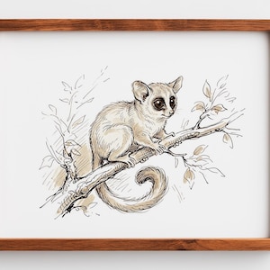 May include: A framed art print featuring a detailed ink and watercolor illustration of a galago perched on a tree branch. The animal has large dark eyes and a long curled tail, rendered in shades of beige and brown within a wooden frame.