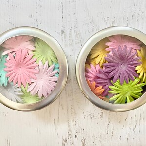 Darice Calypso Daisy Dose, Pastelle oder helle, 24 Stück / Dose, Florale Ephemera, Blüten, Papierherstellung, Kartenherstellung, Verzierungen, Scrapbooking