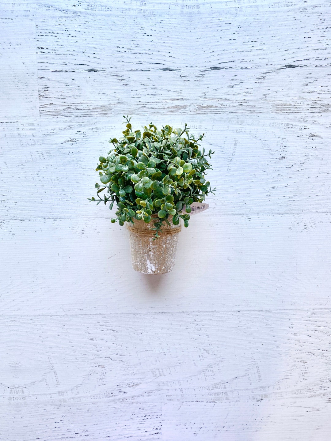 Tea Leaf Ball Topiary, 8.5 Artificial Leaf in Pot, David Christoper