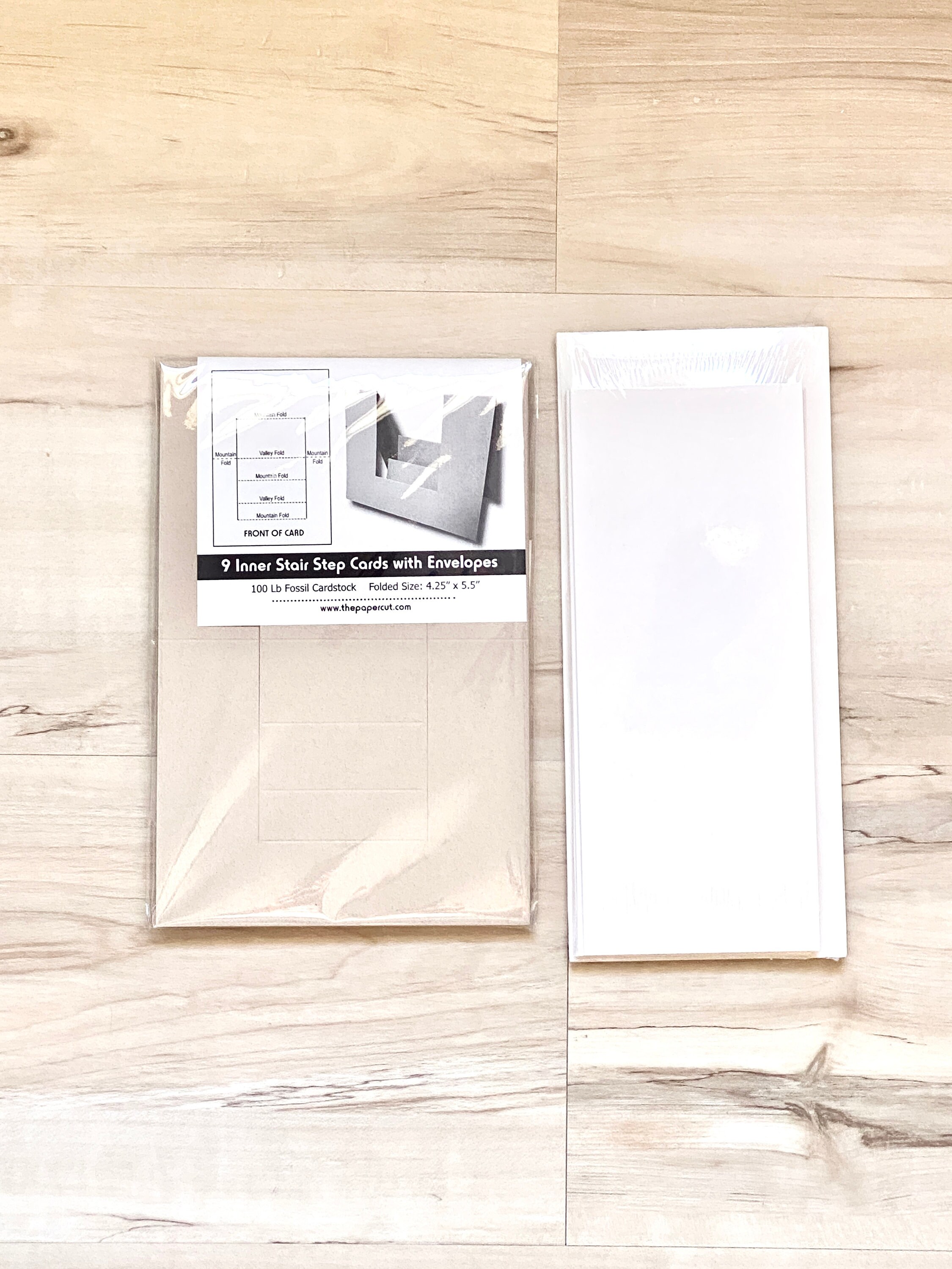 Pen + Gear Ivory Resume Paper, 24lb/89gsm, Laid Finish, 8.5 x 11 Inches, 100 Sheets