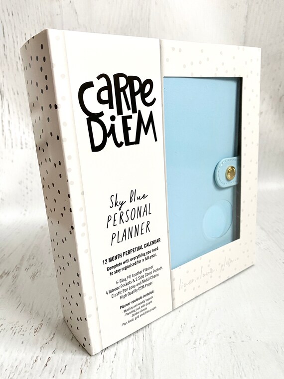 Simple Stories Carpe Diem Planner - Project Idea 