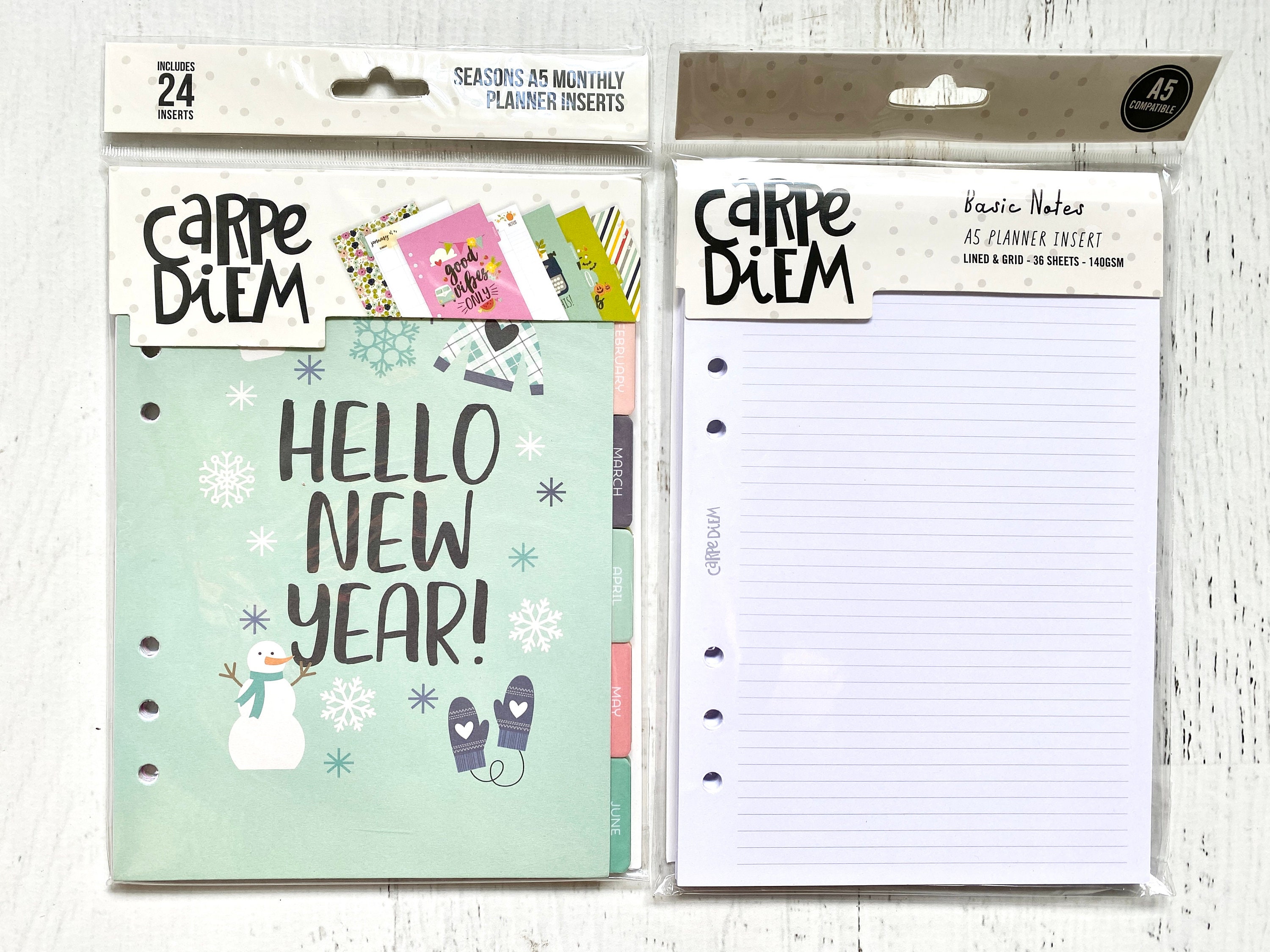 Carpe Diem Seasonal A5 Monthly Planner Inserts (24 pk) or Basic Notes  inserts (18 double-sided sheets), planner dashboards, dividers, notes