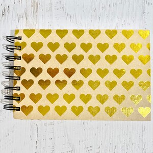 Álbum de cartón Fancy Pants, encuadernado con anillas, miniálbum de recortes, 70 páginas, 6,75 x 4,5 x 0,75 pulgadas, páginas de acetato para fotografías, bolsillos y diario