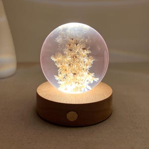 May include: A decorative illuminated sphere with dried flowers encased in clear resin. The sphere sits on a round wooden base with a warm light emanating from within. A white vase is in the background.
