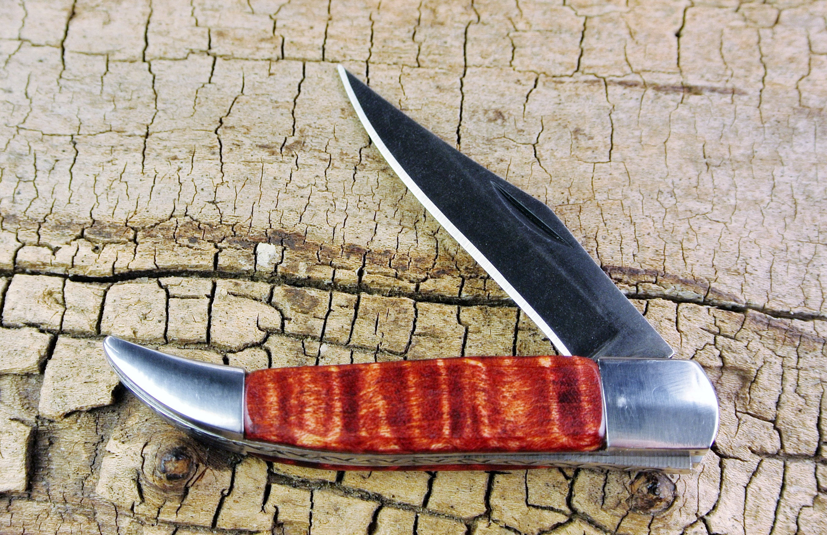 Pocket Knife with Wood Handle Curly Maple (Dyed Red) Wooden Handle