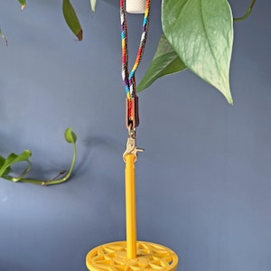 Puede incluir: Un colgador de plantas amarillo con una base circular y un soporte central. Se suspende mediante un cordón trenzado colorido con un cierre metálico. El cordón está sujeto a un clip blanco. Hojas verdes y una pared azul en el fondo.