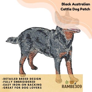 May include: An embroidered patch featuring a blue heeler dog with mottled gray and black fur and tan markings on the legs and face. The text reads Black Australian Cattle Dog Patch, Detailed breed design, Fully embroidered, Easy iron-on backing, Great for dog lovers, and RAMBE309.