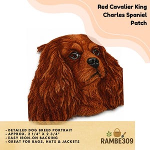 May include: An embroidered patch featuring a detailed portrait of a red Cavalier King Charles Spaniel dog. The patch measures approximately 2 1/4 inches by 2 3/4 inches. The text Red Cavalier King Charles Spaniel Patch is visible at the top right.