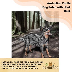 May include: Embroidered patch featuring an Australian Cattle Dog in a forest setting. The patch has a detailed design with a secure hook fastener backing. Text on the patch reads: "Australian Cattle Dog Patch with Hook Back".