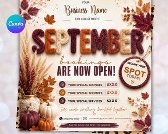 September Booking Flyer, September flyer, Fall Booking Flyer, September Books Open, Wig Install, Lash Nail Braids Flyer, Editable in Canva